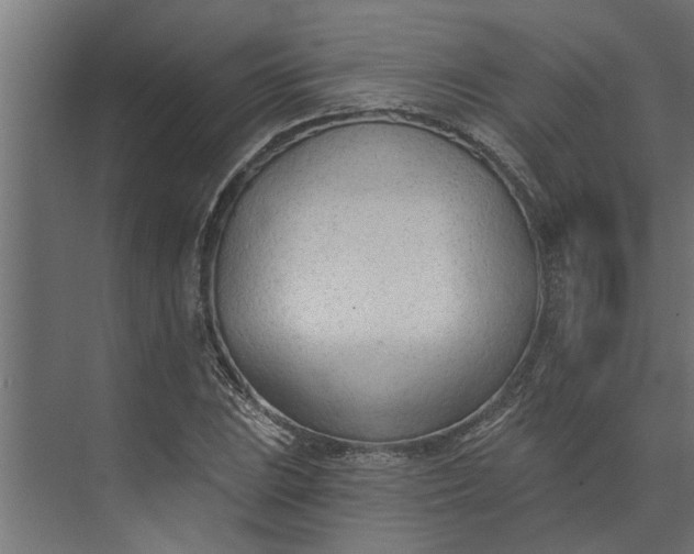 X0000073851023200608241037