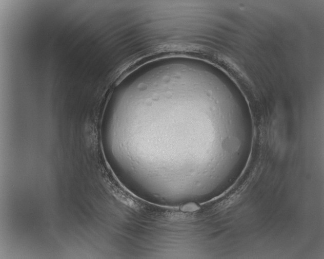 X0000073851025200608241037