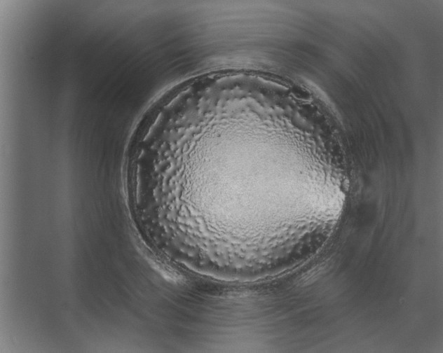 X0000073851035200608241037