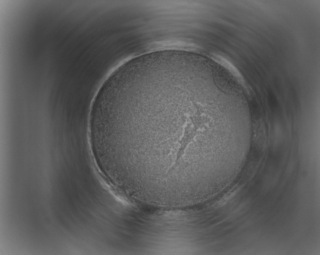 X0000073851043200608241037