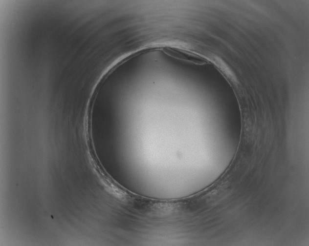 X0000073851044200608241037