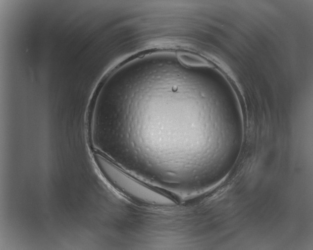 X0000073851045200608241037