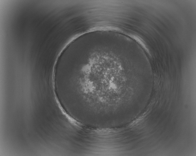 X0000073851046200608241037