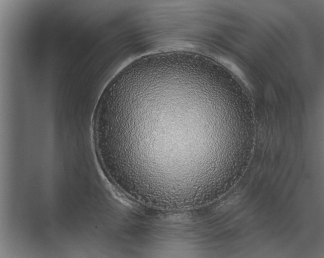 X0000073851047200608241037