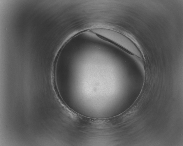 X0000073851048200608241037