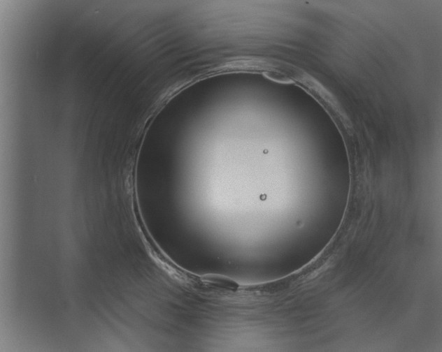 X0000073851049200608241038