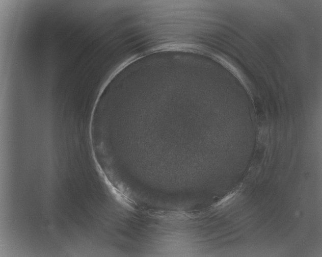 X0000073851050200608241038