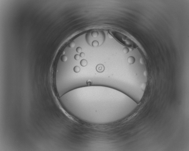 X0000073851053200608241038