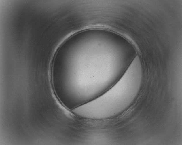 X0000073851054200608241038