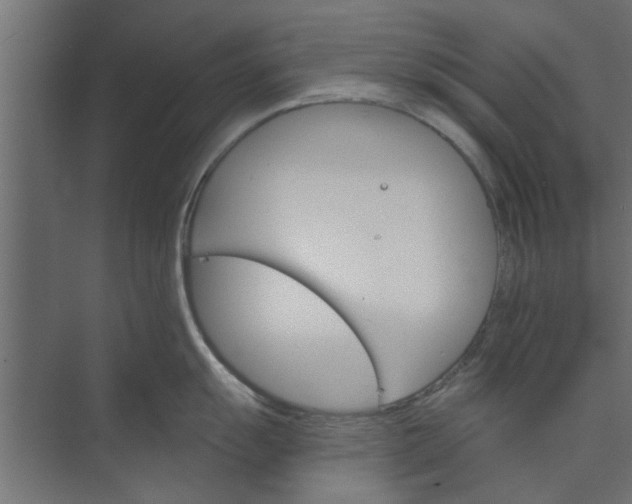 X0000073851055200608241038