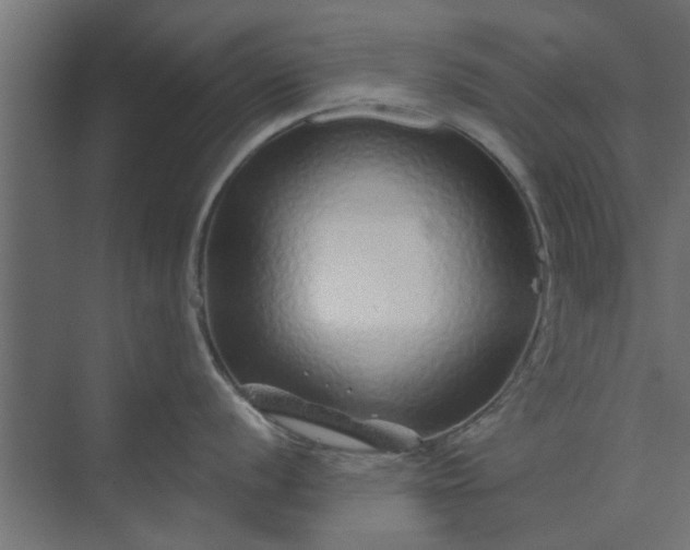 X0000073851056200608241038