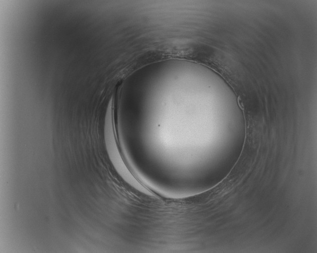 X0000073851058200608241037