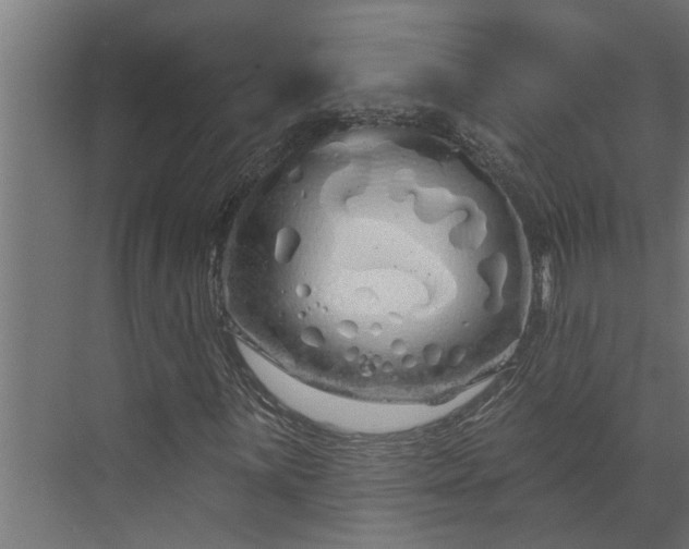 X0000073851059200608241037