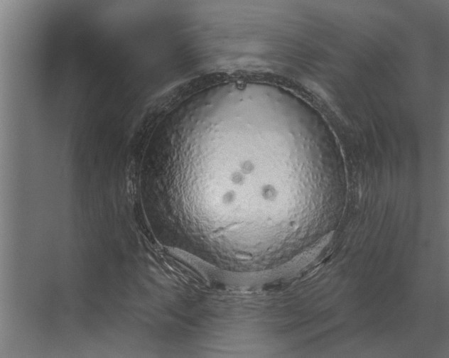 X0000073851063200608241037