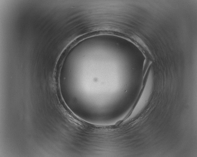 X0000073851068200608241037