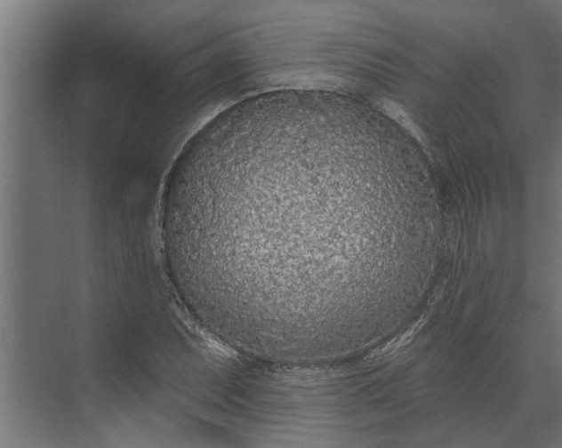 X0000073851071200608241037