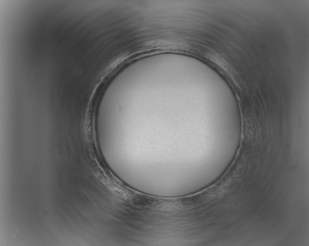 X0000073851074200608241037