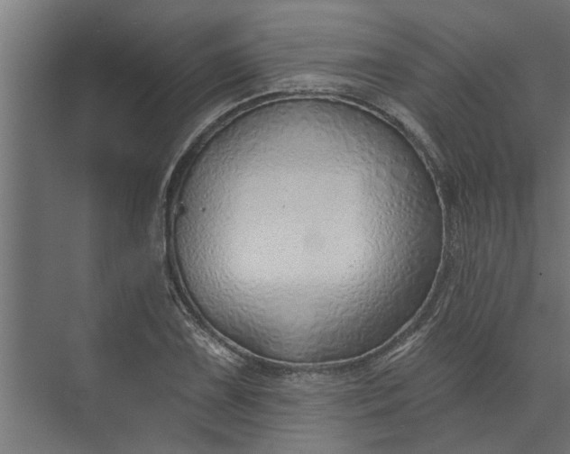 X0000073851075200608241037