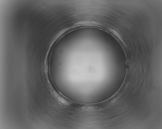 X0000073851082200608241036