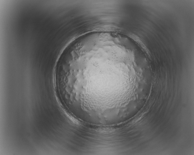 X0000073851083200608241036