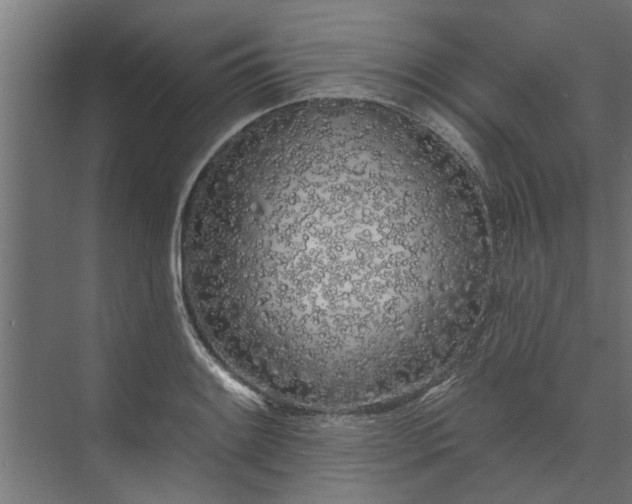 X0000073851084200608241036