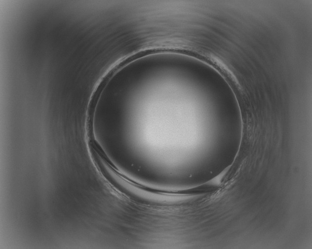 X0000073851085200608241036