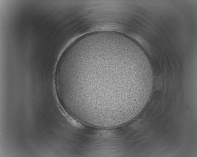 X0000073851086200608241036