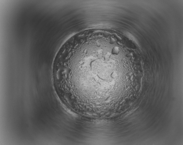 X0000073851087200608241036