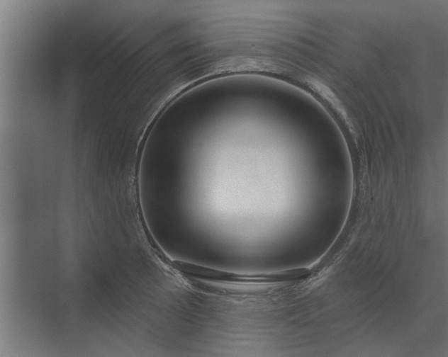 X0000073851089200608241036