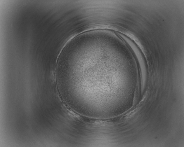 X0000073851097200608241036