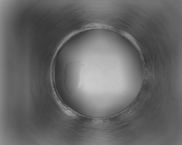 X0000073851098200608241036