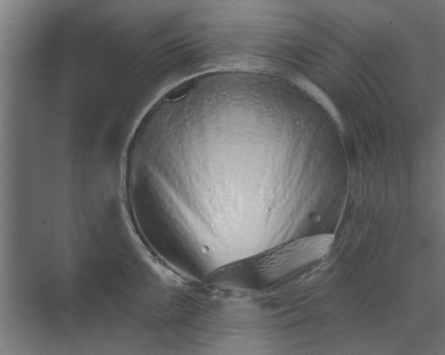 X0000073851099200608241036