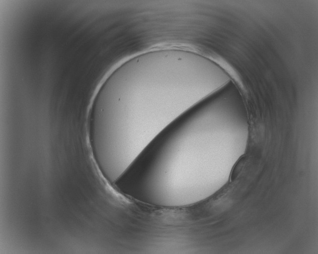 X0000073851102200608241036