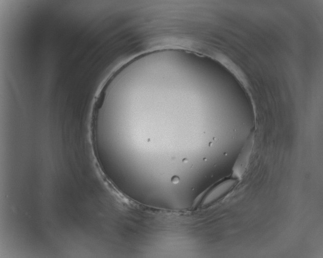 X0000073851104200608241036