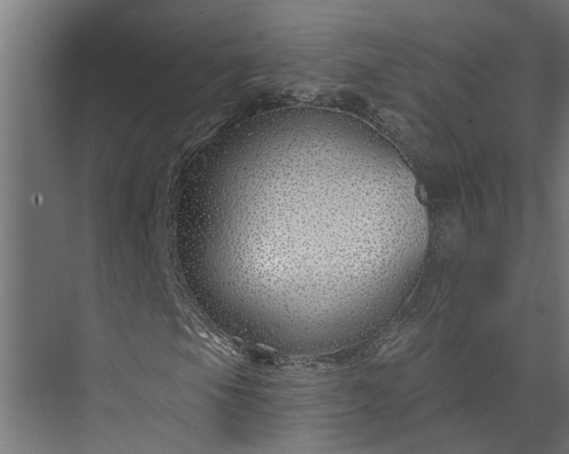 X0000073851105200608241035