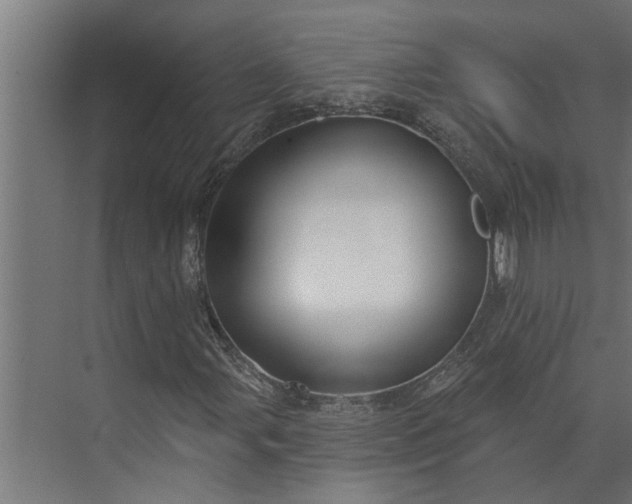 X0000073851107200608241035