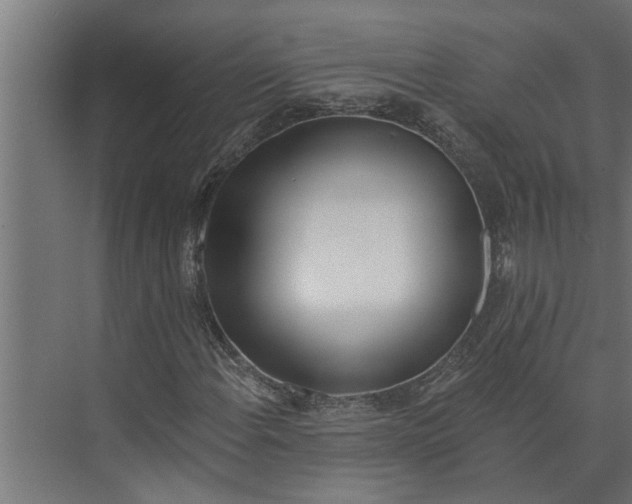 X0000073851108200608241035