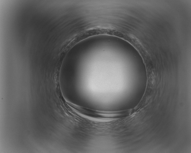 X0000073851110200608241035