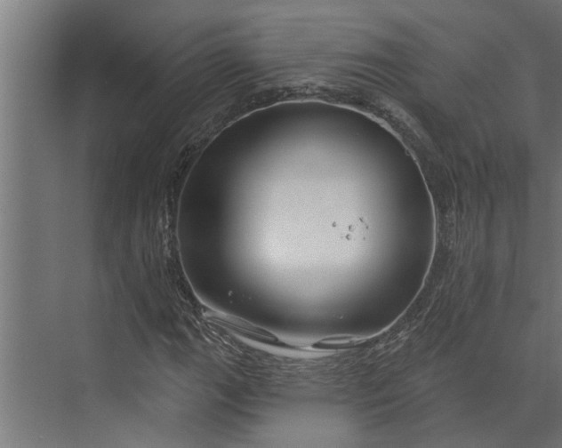 X0000073851111200608241035