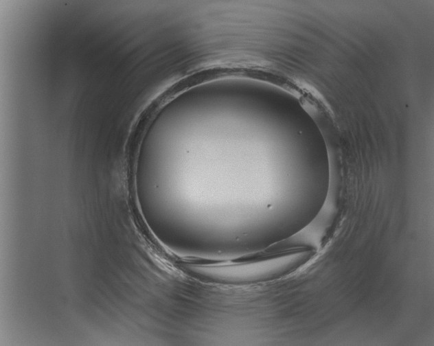 X0000073851114200608241035