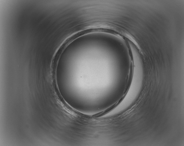 X0000073851116200608241035