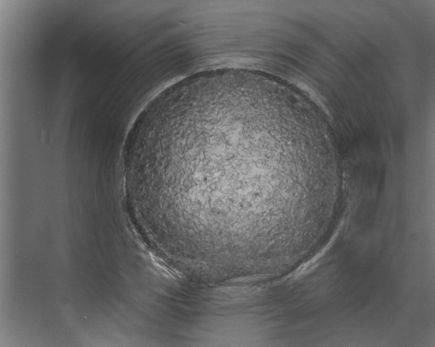 X0000073851117200608241035