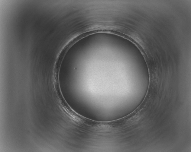 X0000073851119200608241035