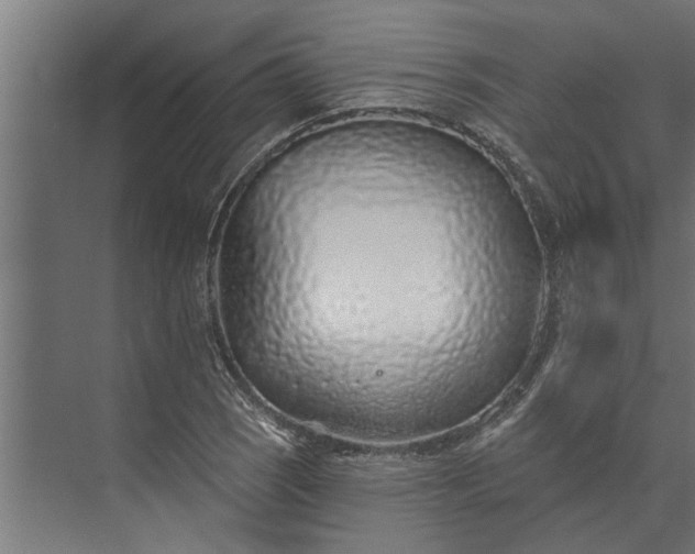 X0000073851121200608241035