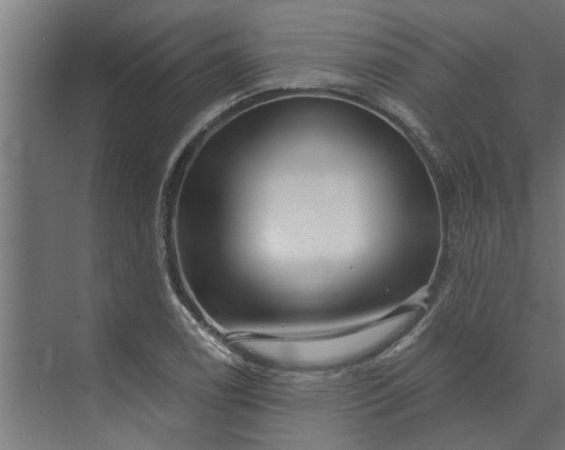 X0000073851122200608241036