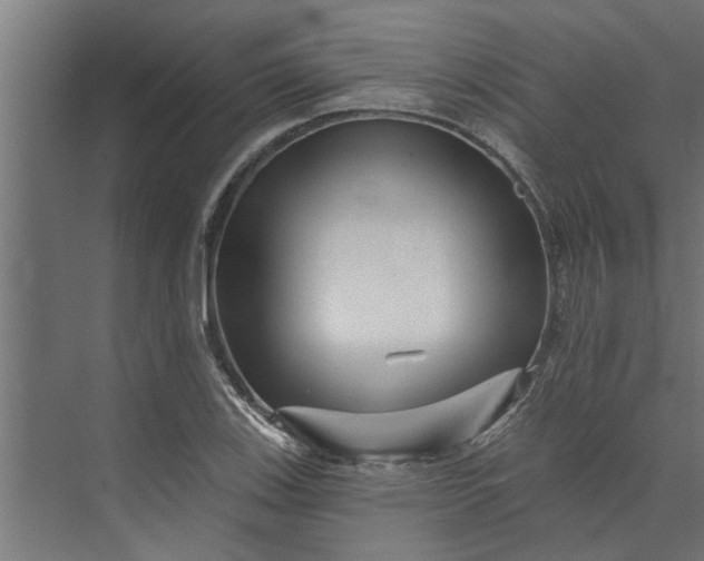 X0000073851123200608241036