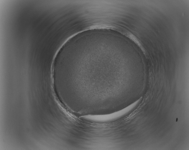 X0000073851124200608241036