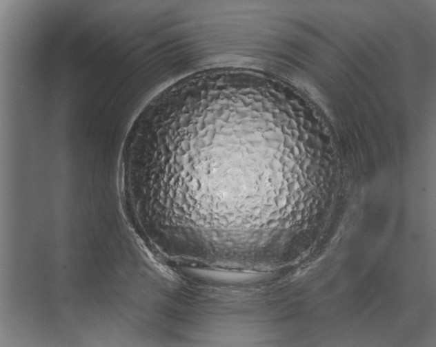 X0000073851125200608241036