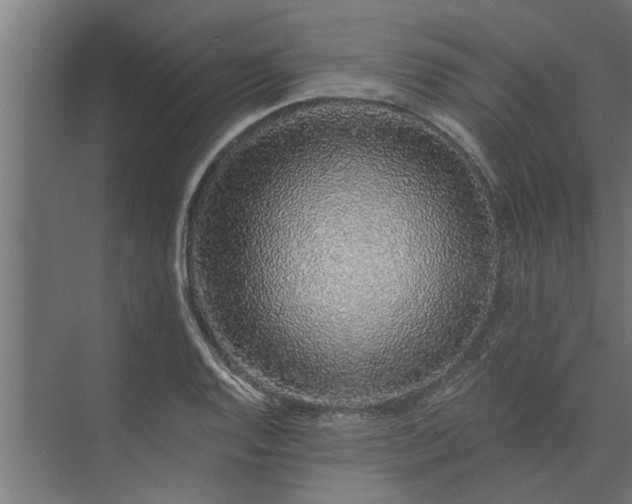 X0000073851128200608241036