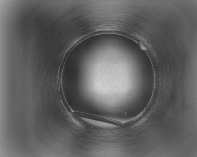 X0000073851129200608241036